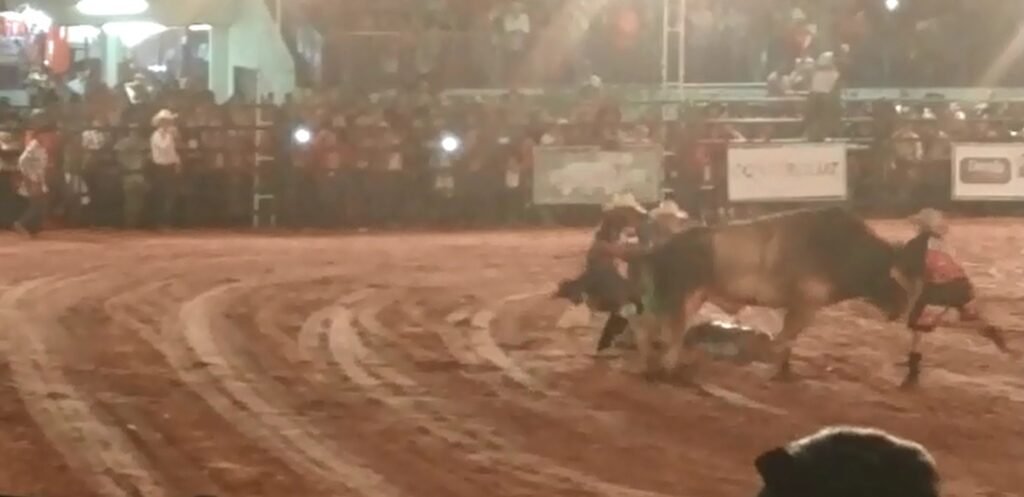 peo-do-noroeste-paulista-morre-pisoteado-por-touro-em-rodeio;-vdeo