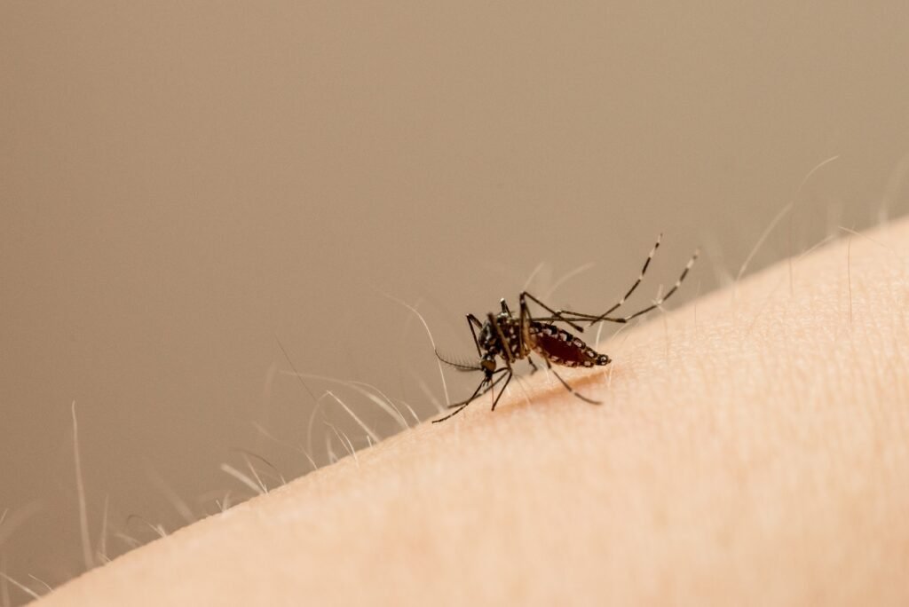 nmero-de-casos-de-doenas-transmitidas-pelo-aedes-aegypti-aumentou-em-vrzea-grande-(mt)