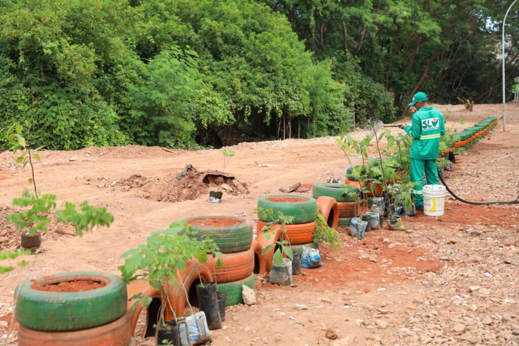 projeto-de-cara-nova-une-conscincia-ambiental-e-combate-dengue