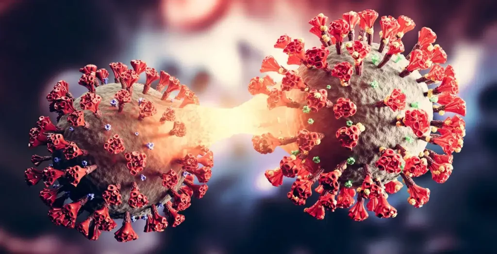 Covid-19 ainda assombra muitos brasileiros: Por que ainda tem gente morrendo? covid-19-ainda-assombra-muitos-brasileiros:-por-que-ainda-tem-gente-morrendo?