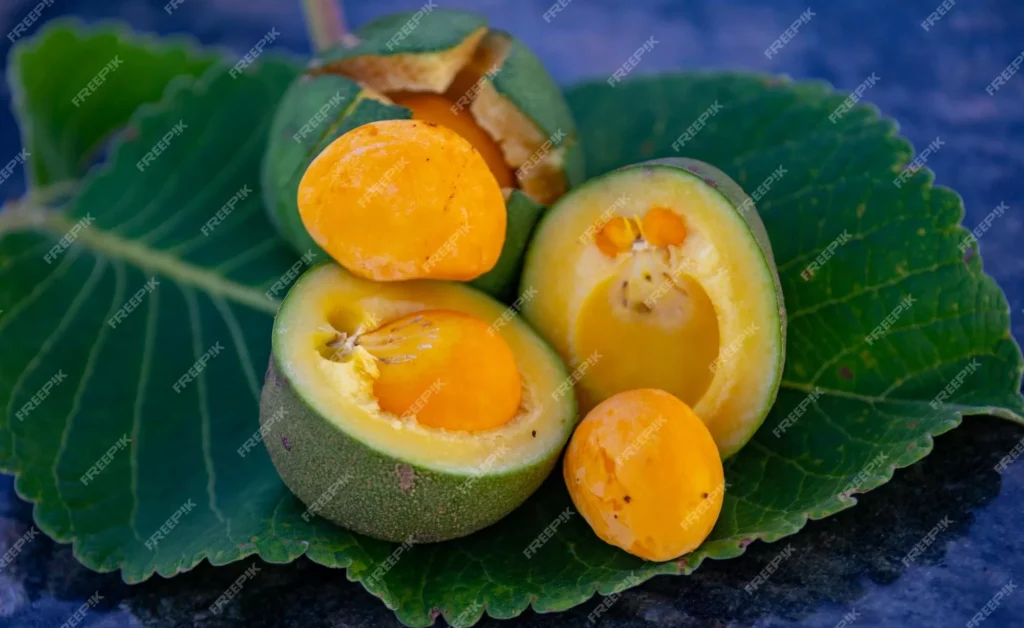 pequi-sem-espinhos:-verso-mais-resistente-e-produtiva-da-fruta-lanada