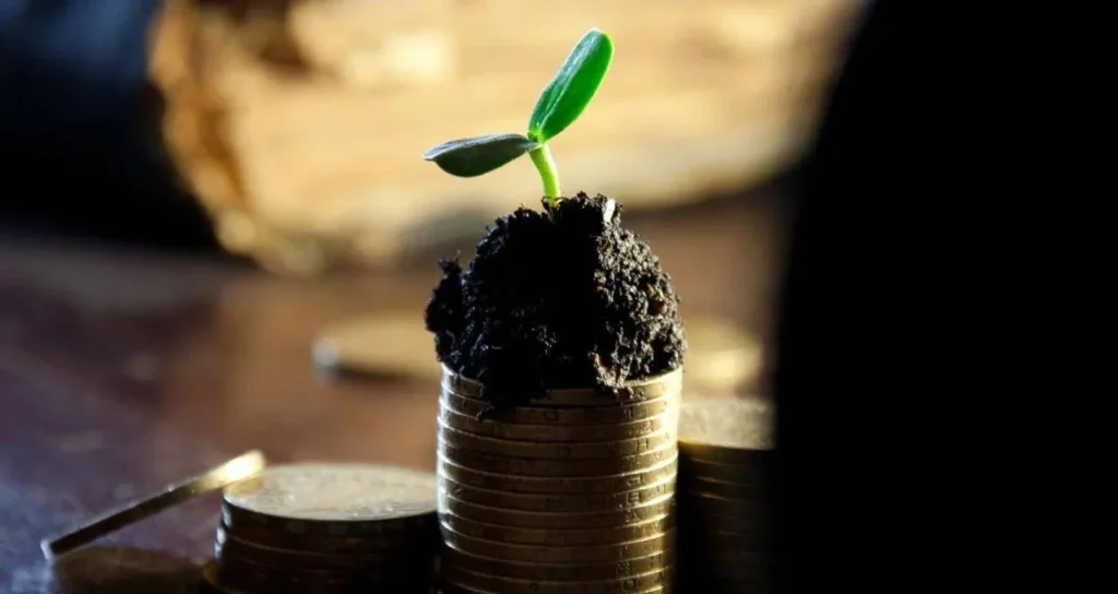 quais-as-melhores-reas-de-investimento-do-agronegcio-em-2024?