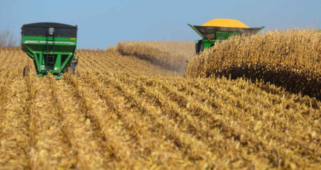 PIB do agronegcio cai 2,99% em 2023; saiba o motivo pib-do-agronegcio-cai-2,99%-em-2023;-saiba-o-motivo