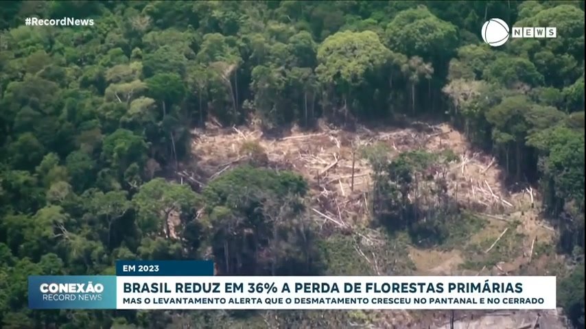 desmatamento-no-brasil-caiu-de-forma-extraordinria,-mas-ainda-um-desafio,-diz-especialista
