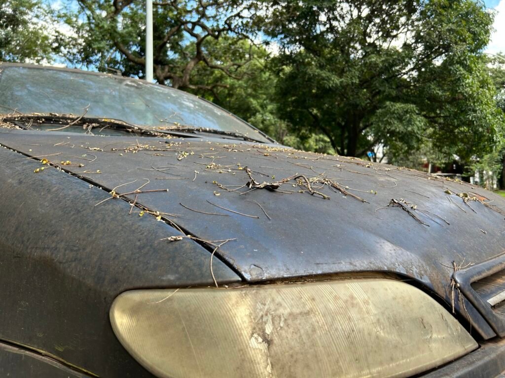 carcaas-de-veculos-se-acumulam-em-braslia